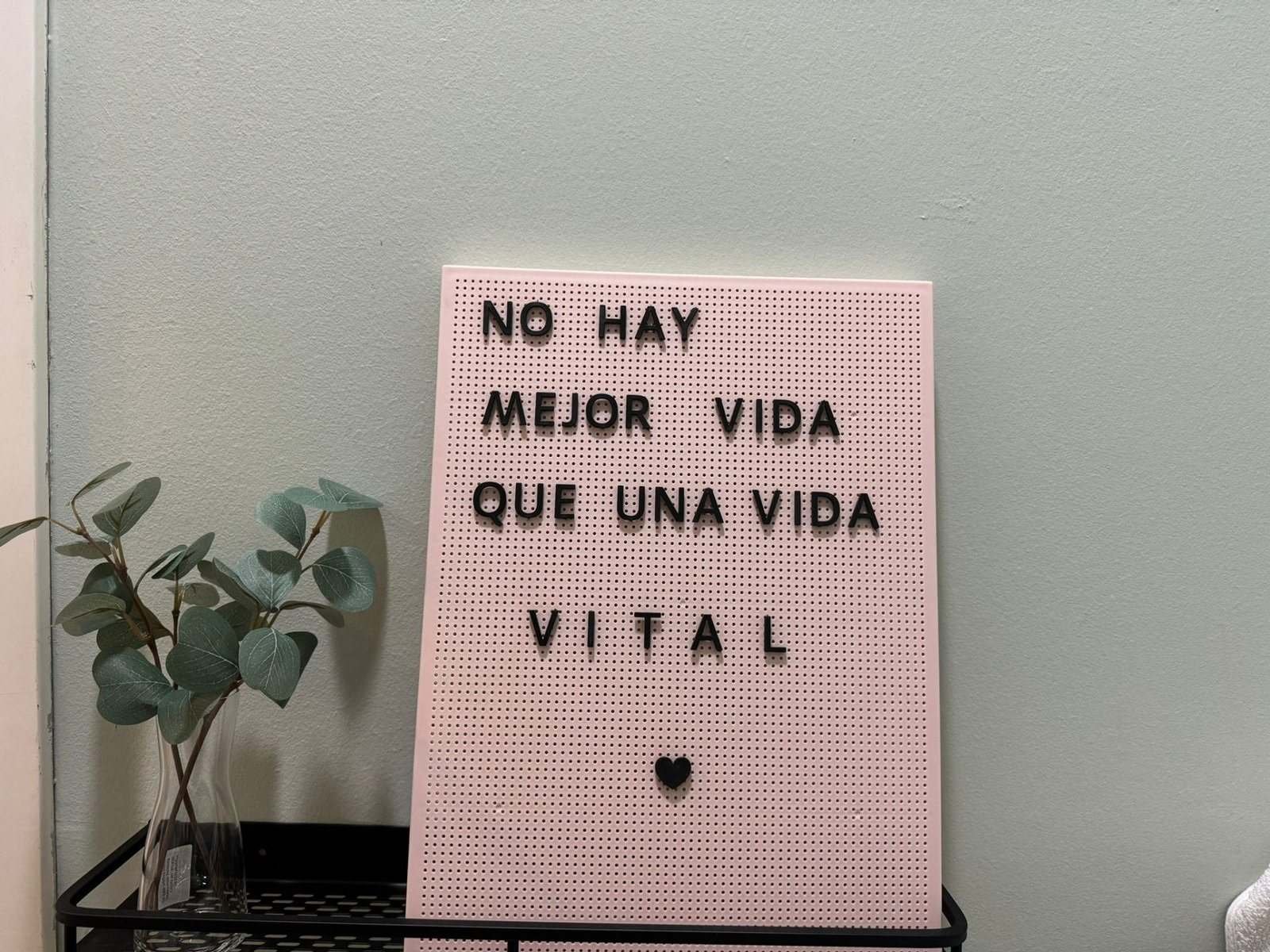 Cartel rosa con el lema «No hay mejor vida que una vida Vital» junto a una planta de eucalipto